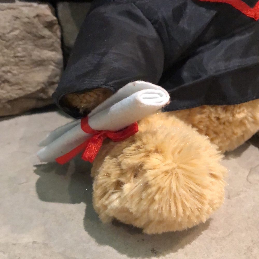 Graduation Bear! - Picture 3 of 10